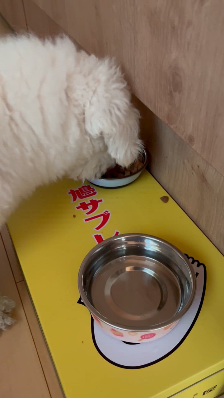 1件目のレビュー動画のサムネイル | 0