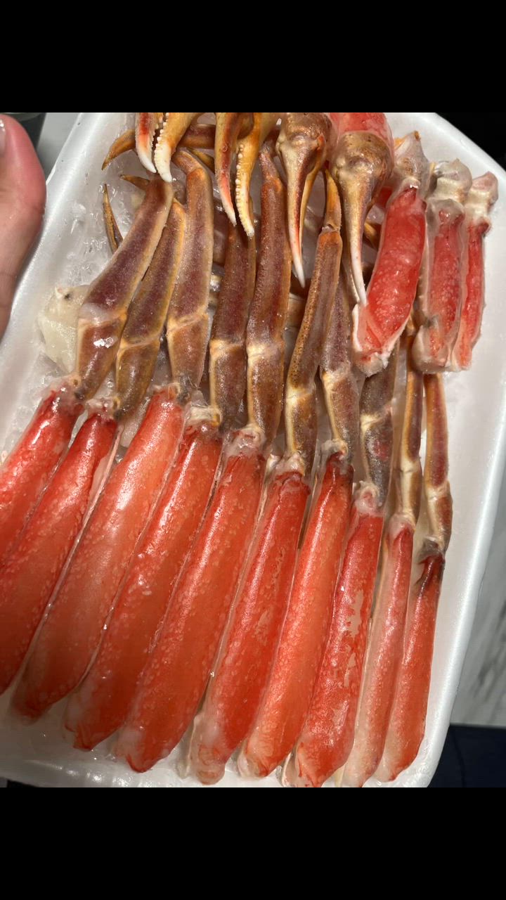 全体のレビュー動画のサムネイル | 2