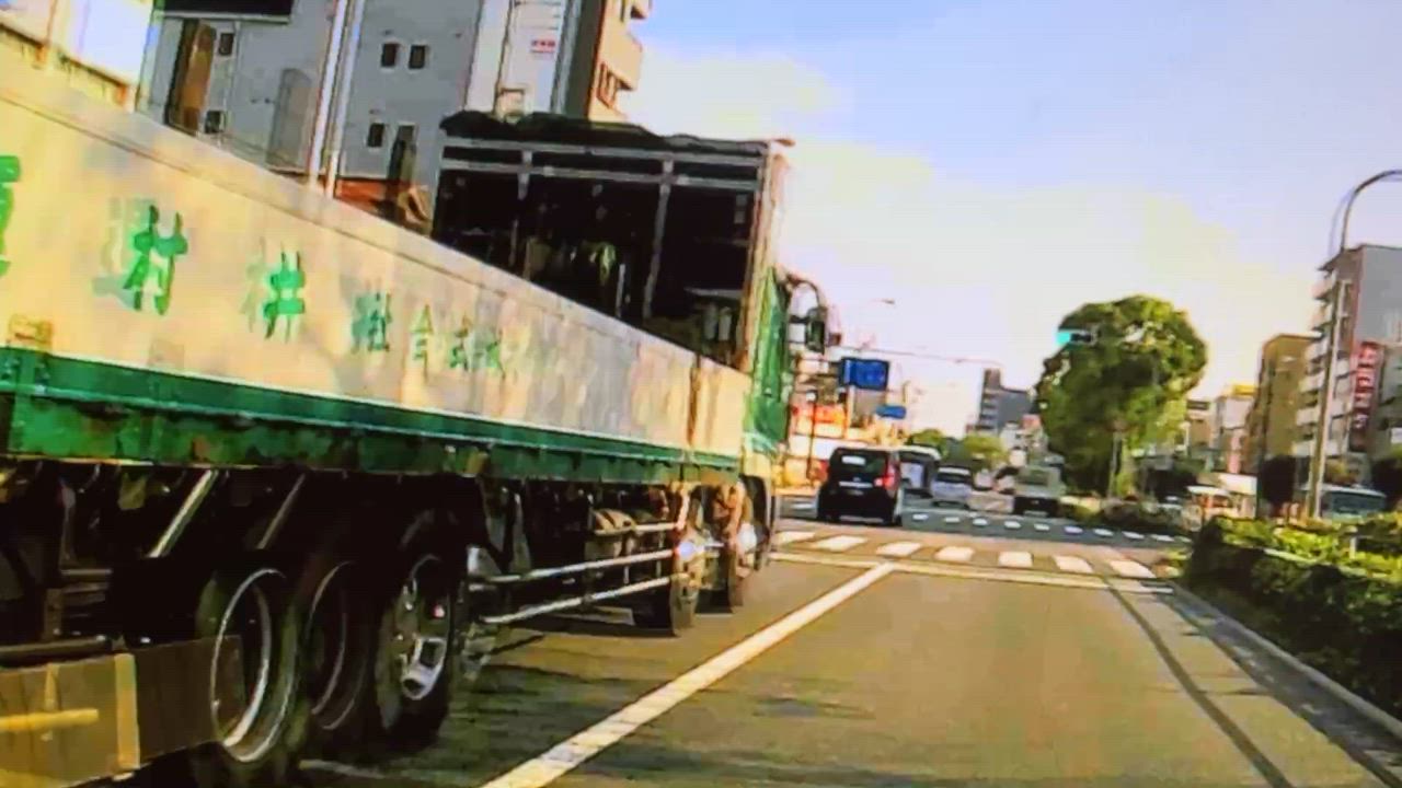 全体のレビュー動画のサムネイル | 0