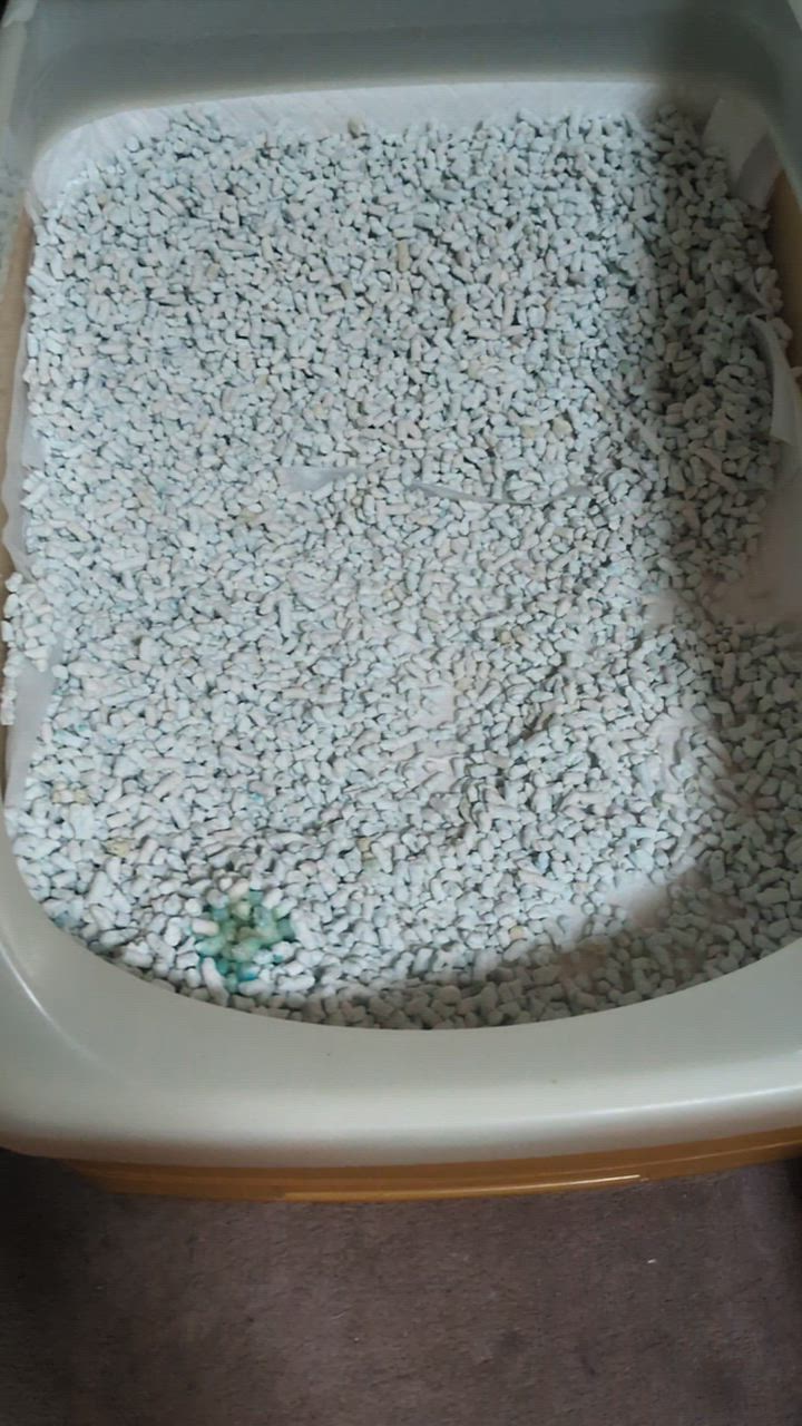 全体のレビュー動画のサムネイル | 4