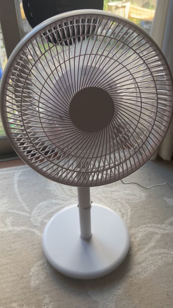 全体のレビュー動画のサムネイル | 1