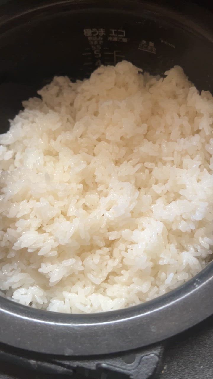 全体のレビュー動画のサムネイル | 12