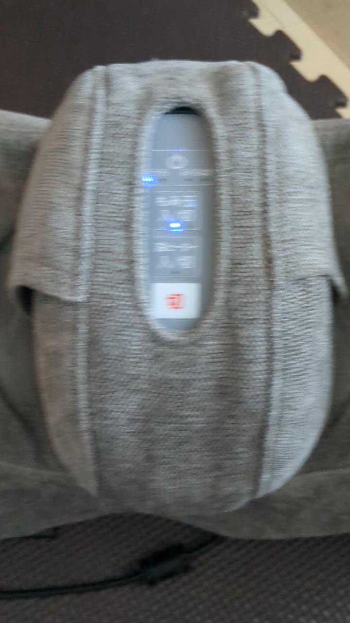 全体のレビュー動画のサムネイル | 1