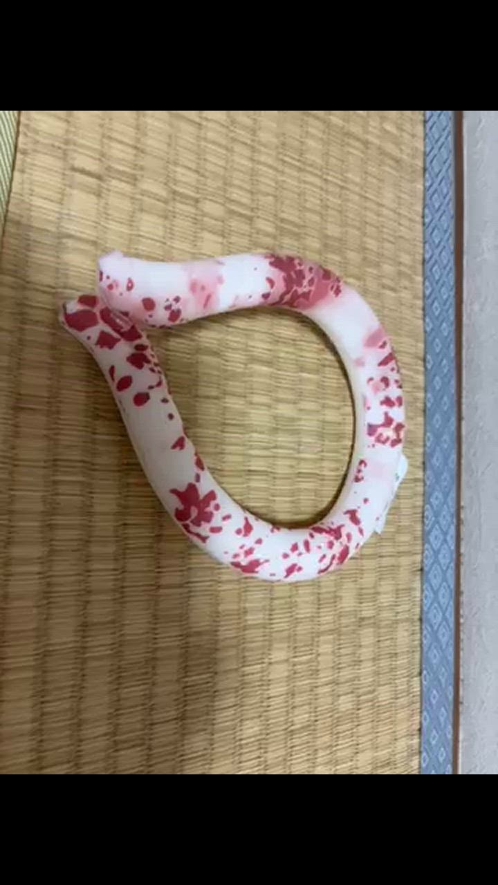 全体のレビュー動画のサムネイル | 2