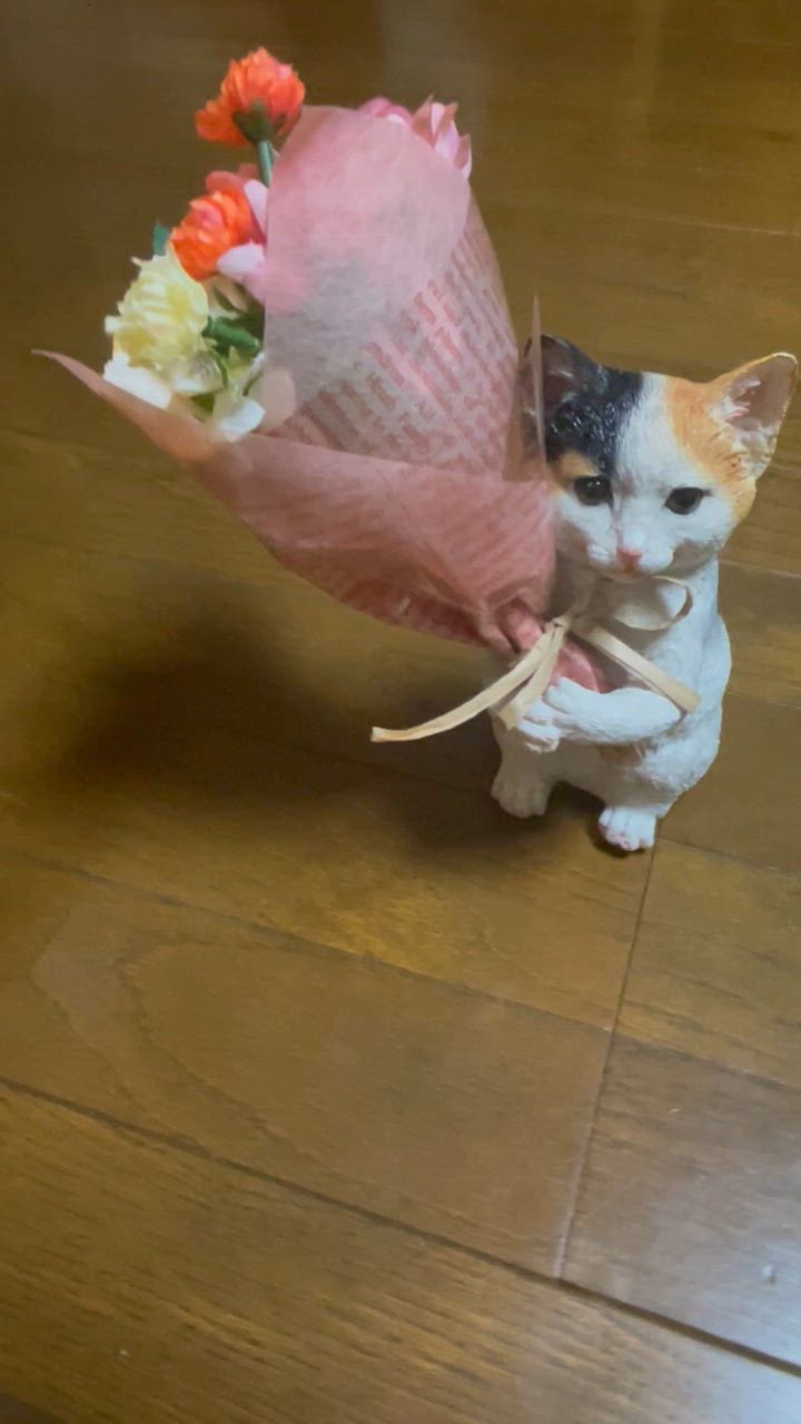 1件目のレビュー動画のサムネイル | 0