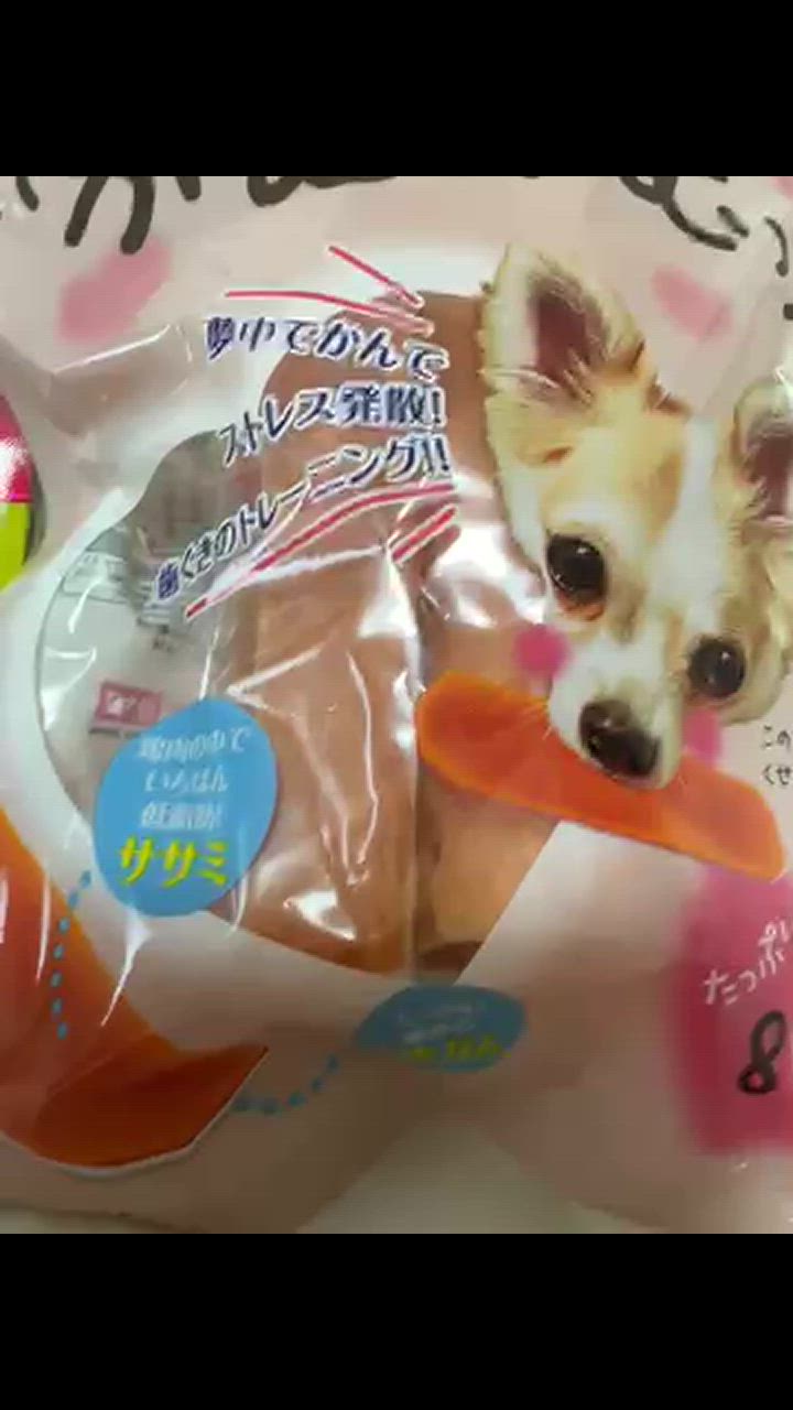 全体のレビュー動画のサムネイル | 0