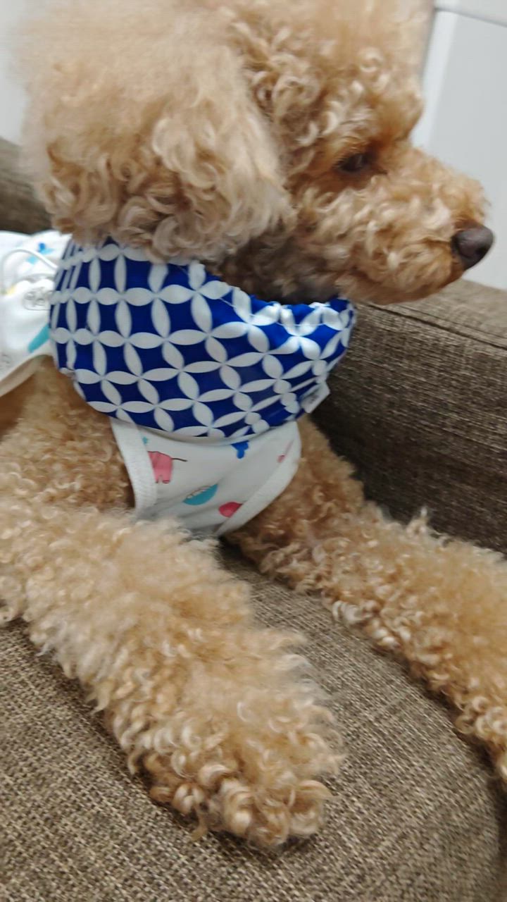 全体のレビュー動画のサムネイル | 1