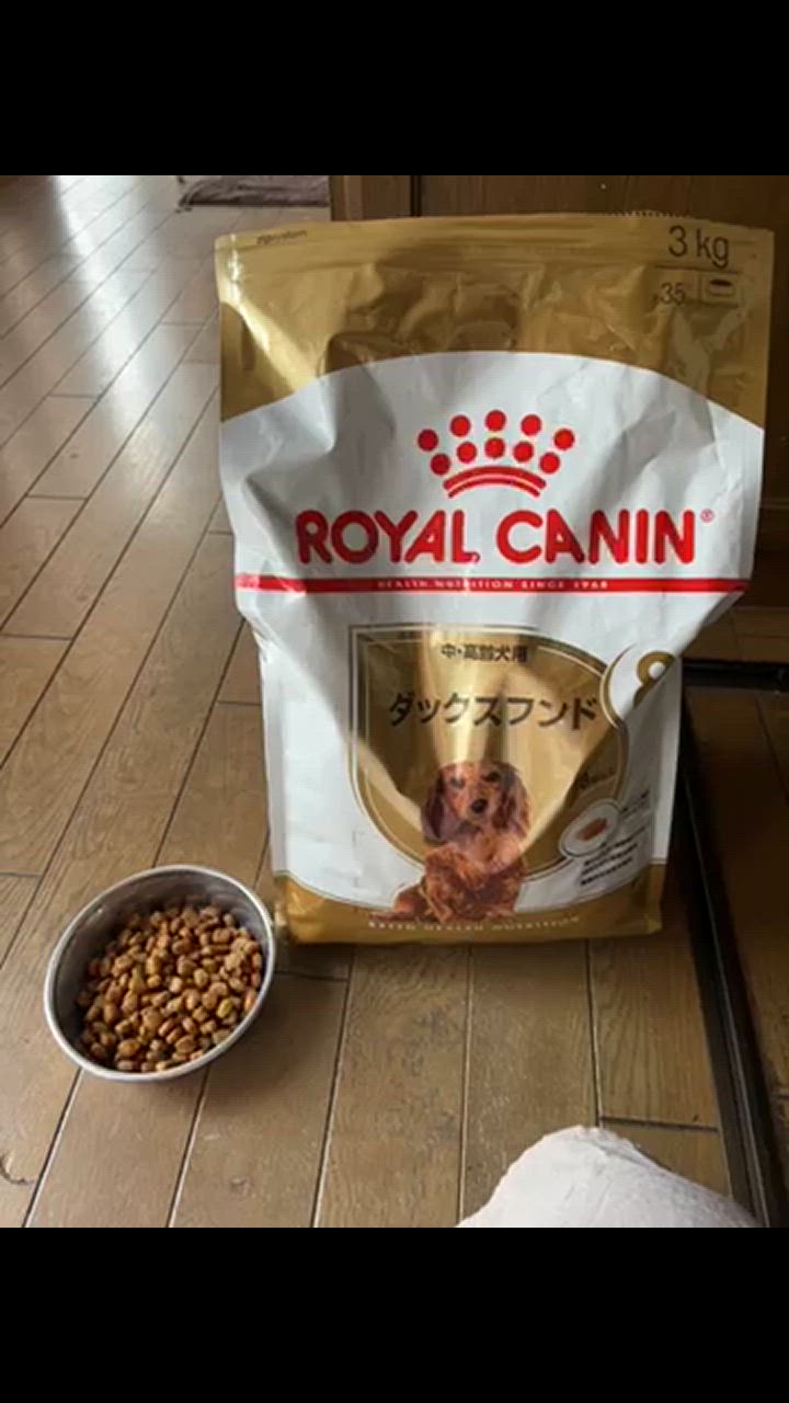  CANIN ダックスフンド 3kg×3袋 8歳以上 Amazon.co.jp: ロイヤルカナン BHN ダックスフンド 中・高齢犬用