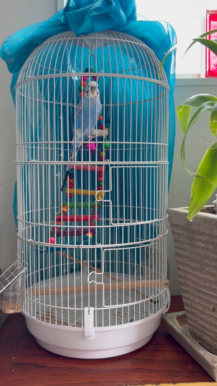 RAKU 鳥カゴ 鳥かご 鳥小屋 多頭飼い 鳥ケージ バードパレス