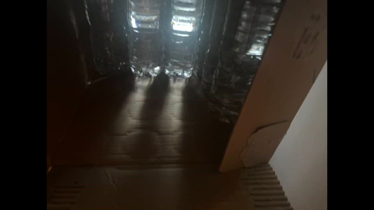 全体のレビュー動画のサムネイル | 12