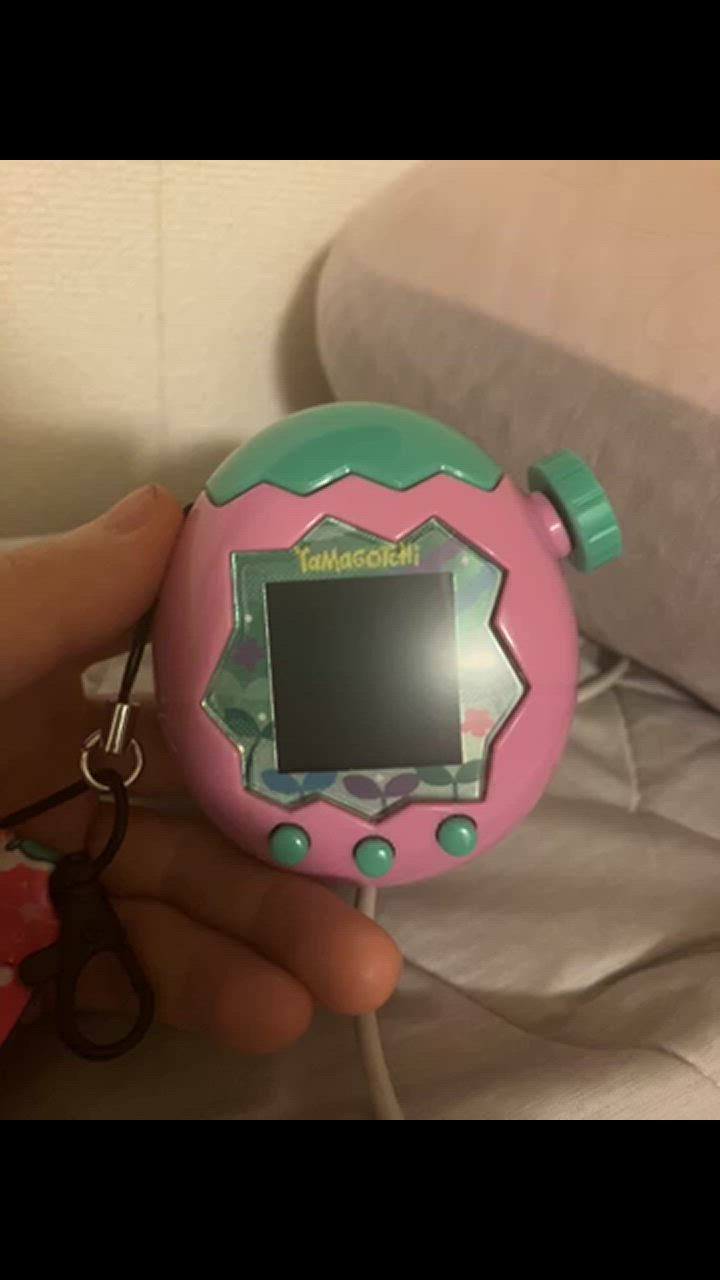 たまごっちパラダイス たまパラ pink land ピンクランド たまごっち Tamagotchi Paradise Pink Land たまごっち