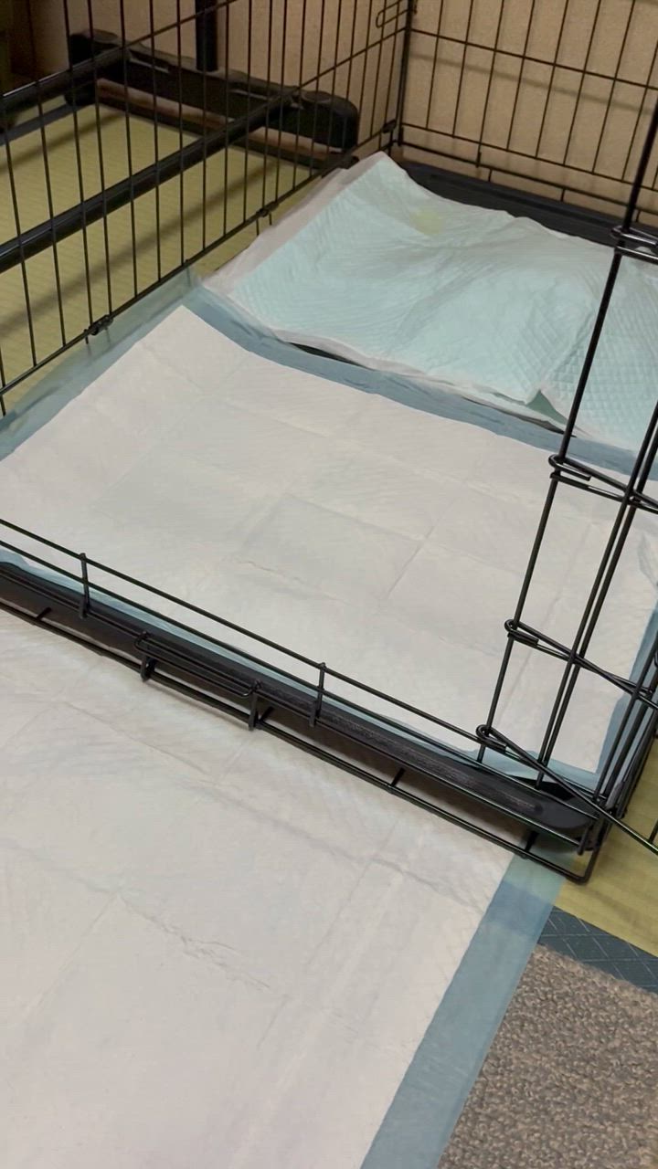 全体のレビュー動画のサムネイル | 1