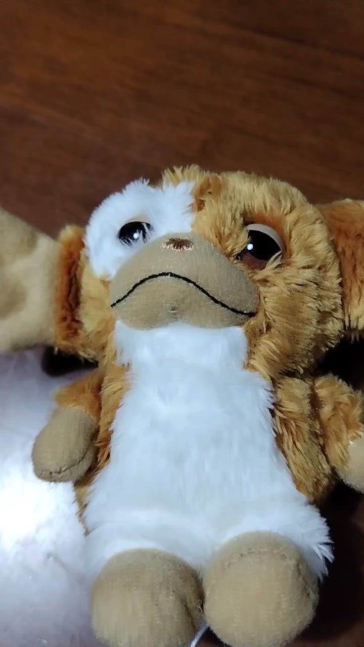 Me% キーホルダー グレムリン ギズモ ぬいぐるみチャーム 491948