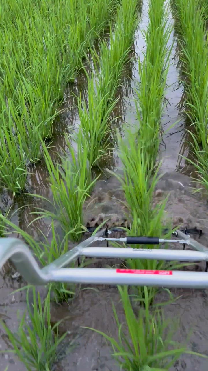 値下げ　水田除草機 水田駆動除草機 6条タイプ | みのる産業株式会社 agri-style.com