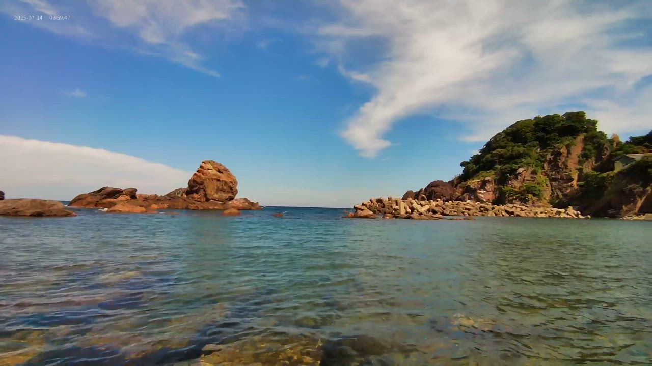 全体のレビュー動画のサムネイル | 0