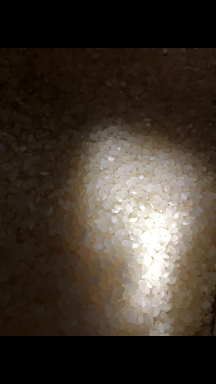 全体のレビュー動画のサムネイル | 1