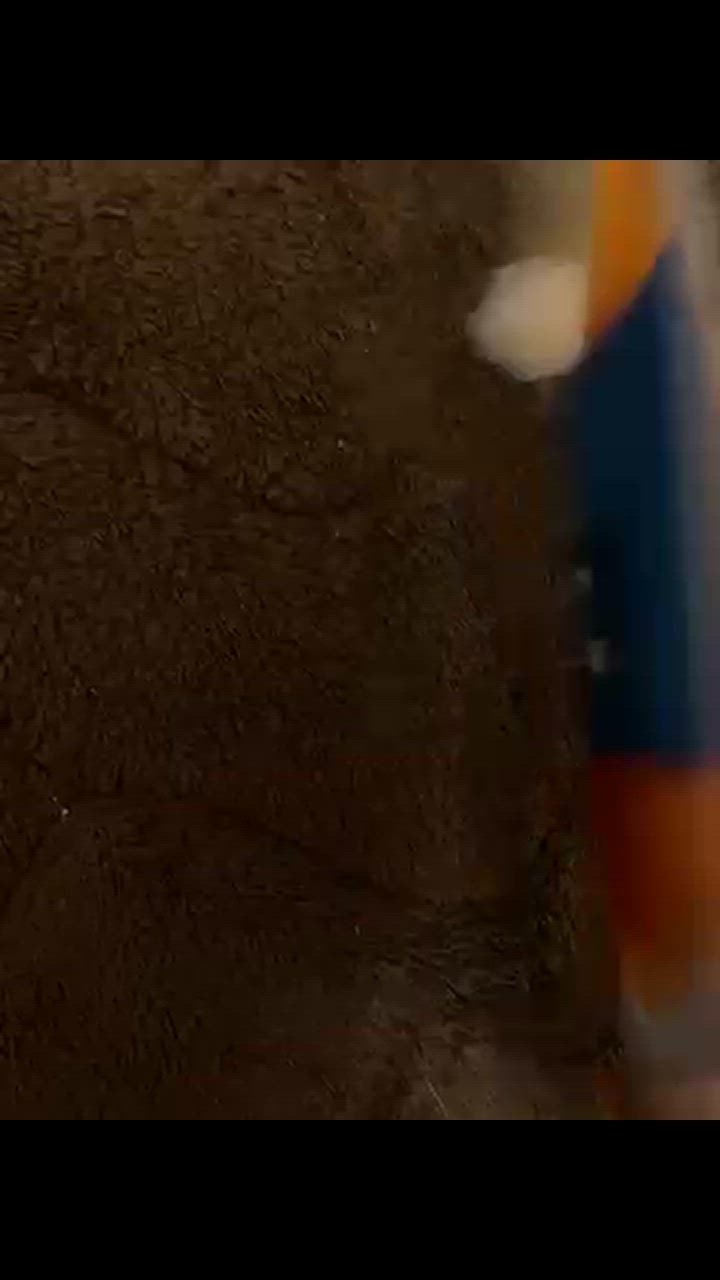 全体のレビュー動画のサムネイル | 1