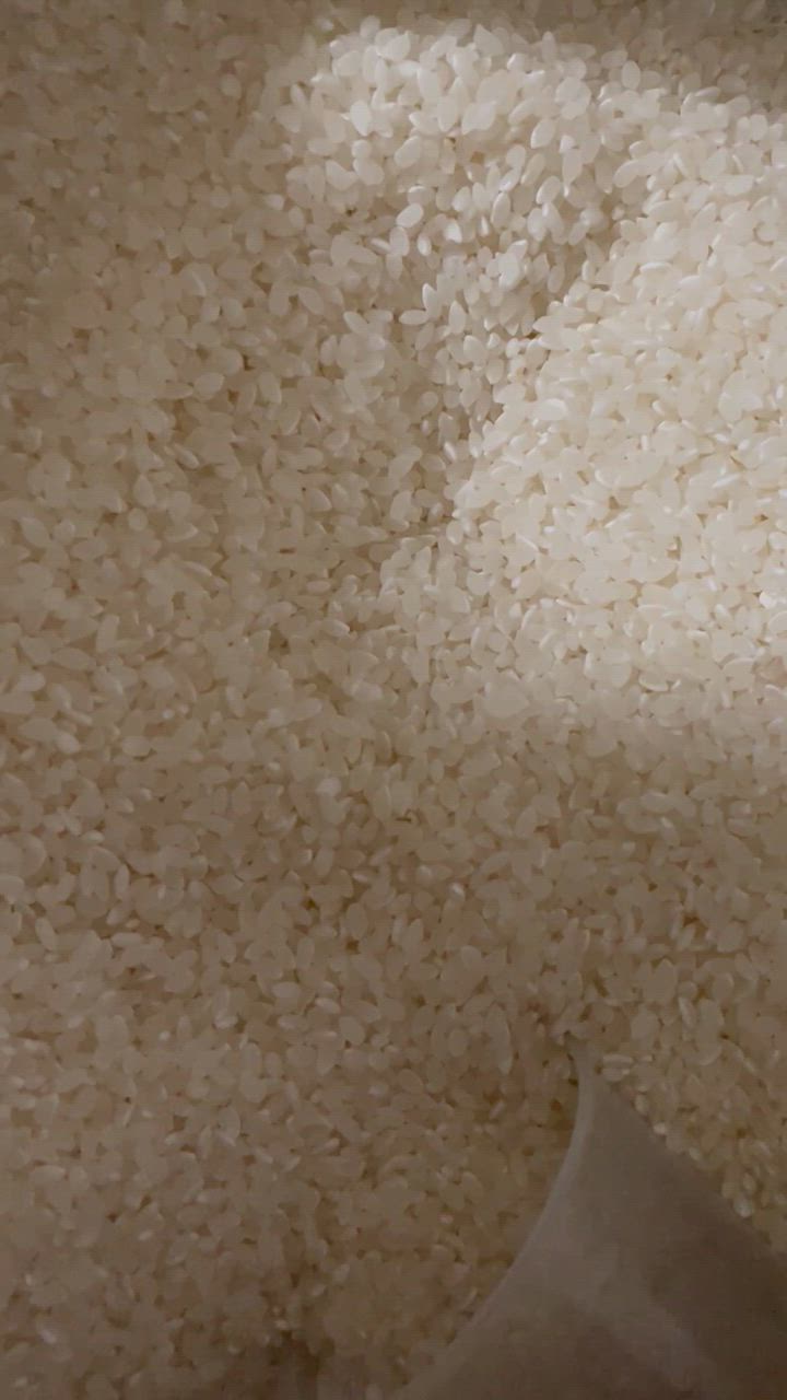 全体のレビュー動画のサムネイル | 0