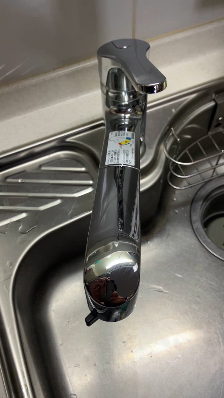 【新品】LIXIL ハンドシャワー付シングルレバー混合水栓 RSF-833Y INAX LIXIL キッチン水栓 RSF-833Y ハンドシャワー付き シングル