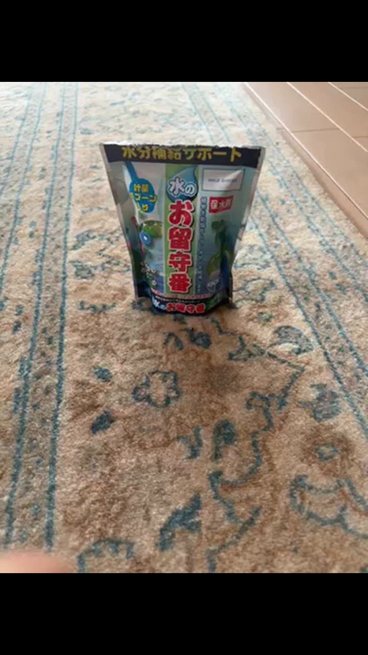 1件目のレビュー動画のサムネイル | 0