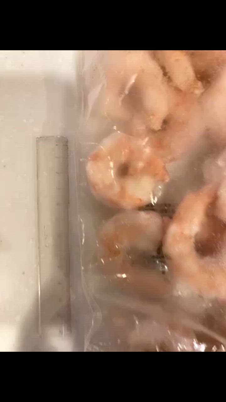 全体のレビュー動画のサムネイル | 2