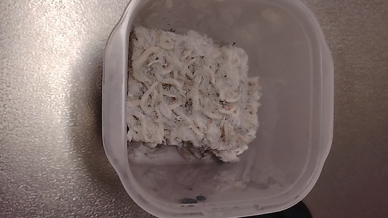 全体のレビュー動画のサムネイル | 2
