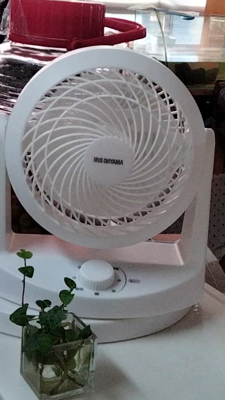 全体のレビュー動画のサムネイル | 0