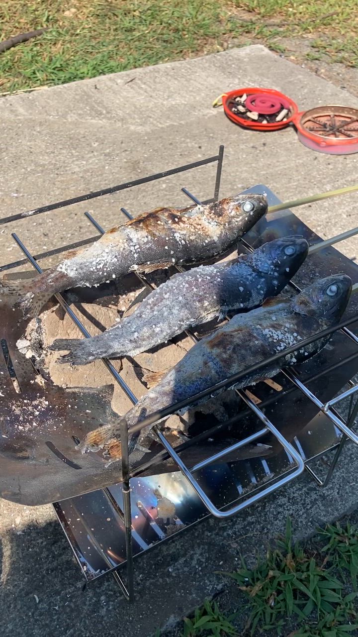 全体のレビュー動画のサムネイル | 1