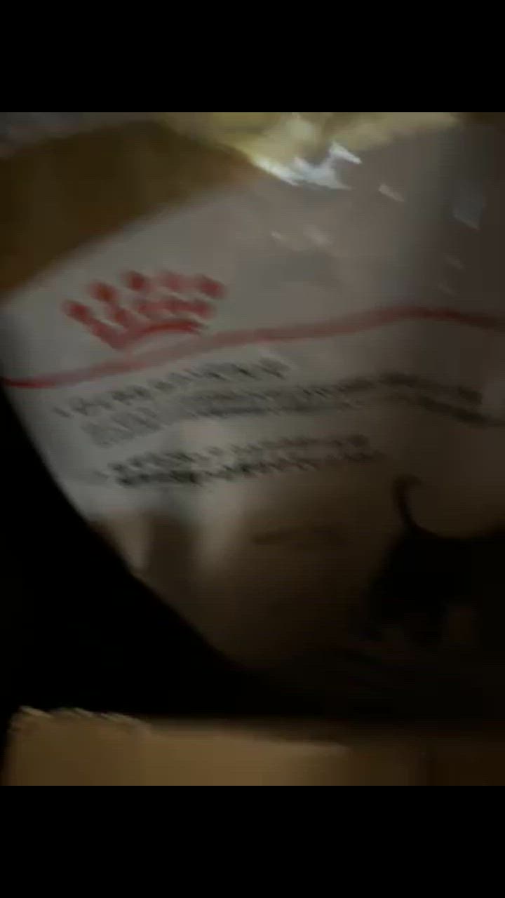 全体のレビュー動画のサムネイル | 0