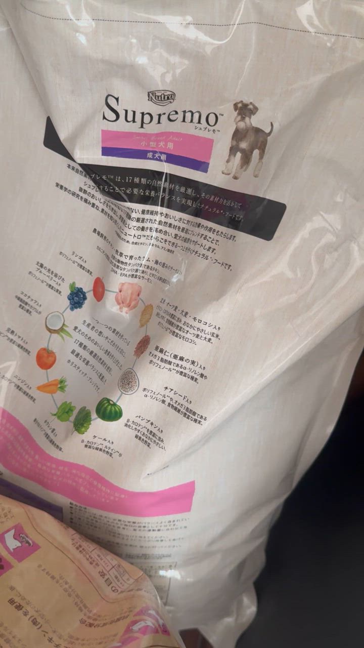 全体のレビュー動画のサムネイル | 2