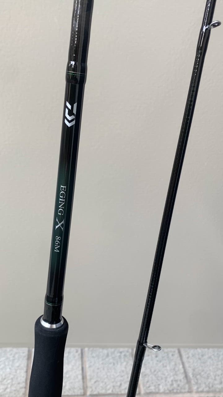 DAIWA（釣り） ダイワ エギングロッド エギング X 86M 22年