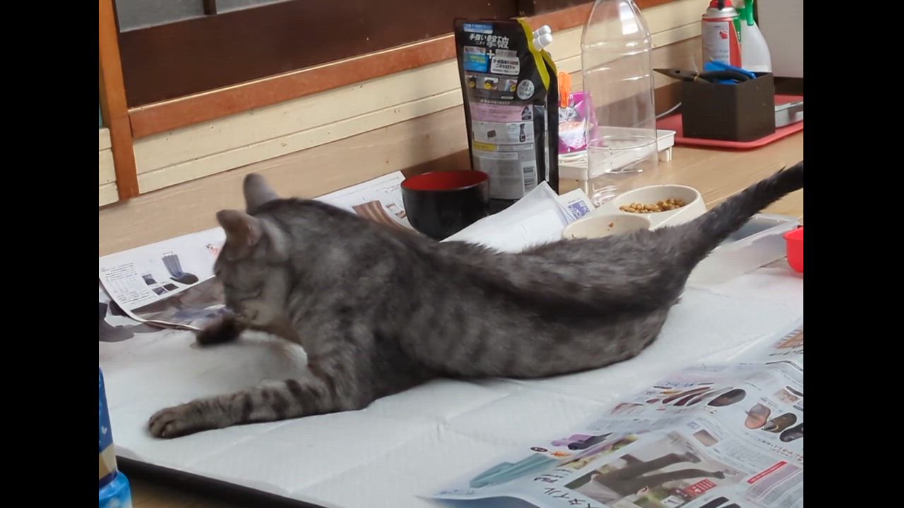 全体のレビュー動画のサムネイル | 17