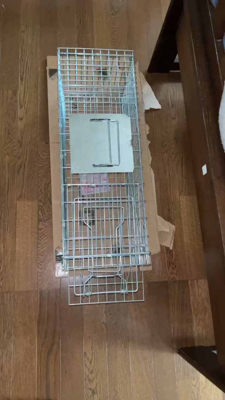 全体のレビュー動画のサムネイル | 0