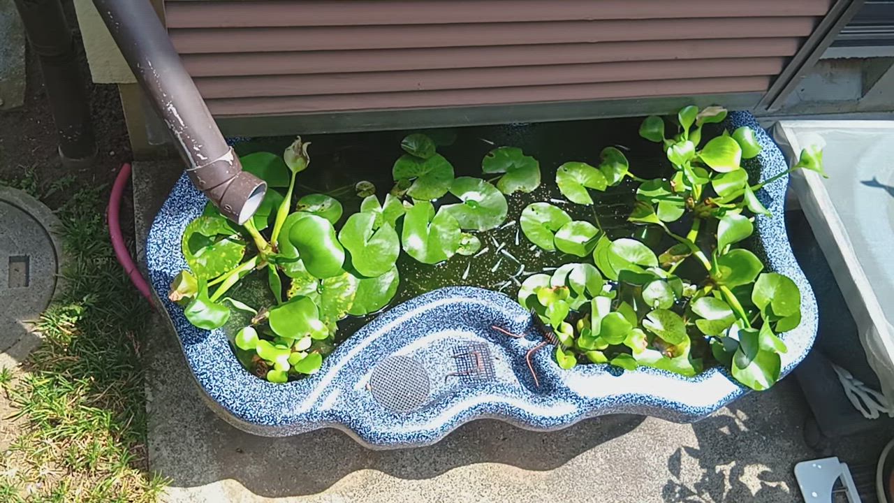 ゼンスイ なごみ池 L 90L (庭園埋め込みタイプ) 池 プラ池