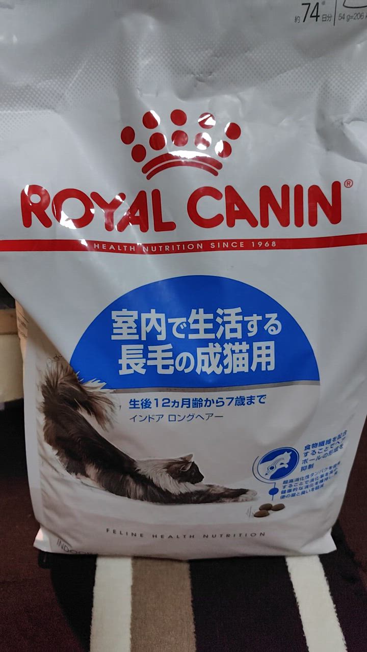 新品未開封　 CANIN 室内で生活する長毛の成猫用 4kg2袋 新品未開封　 CANIN 室内で生活する長毛の成猫用 4kg2袋
