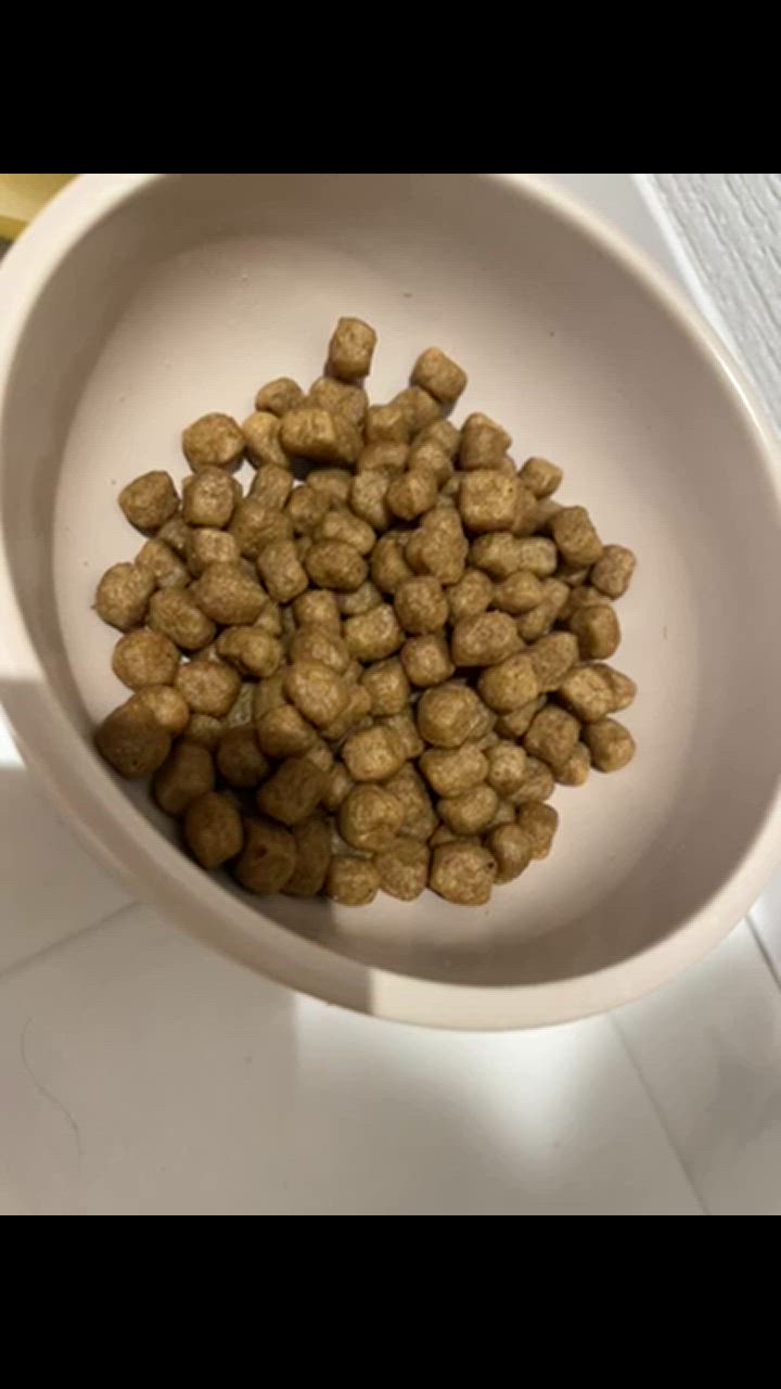 全体のレビュー動画のサムネイル | 9