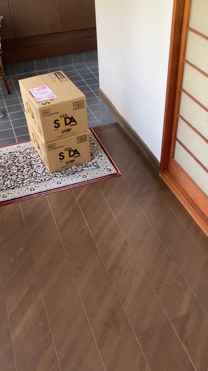 全体のレビュー動画のサムネイル | 5