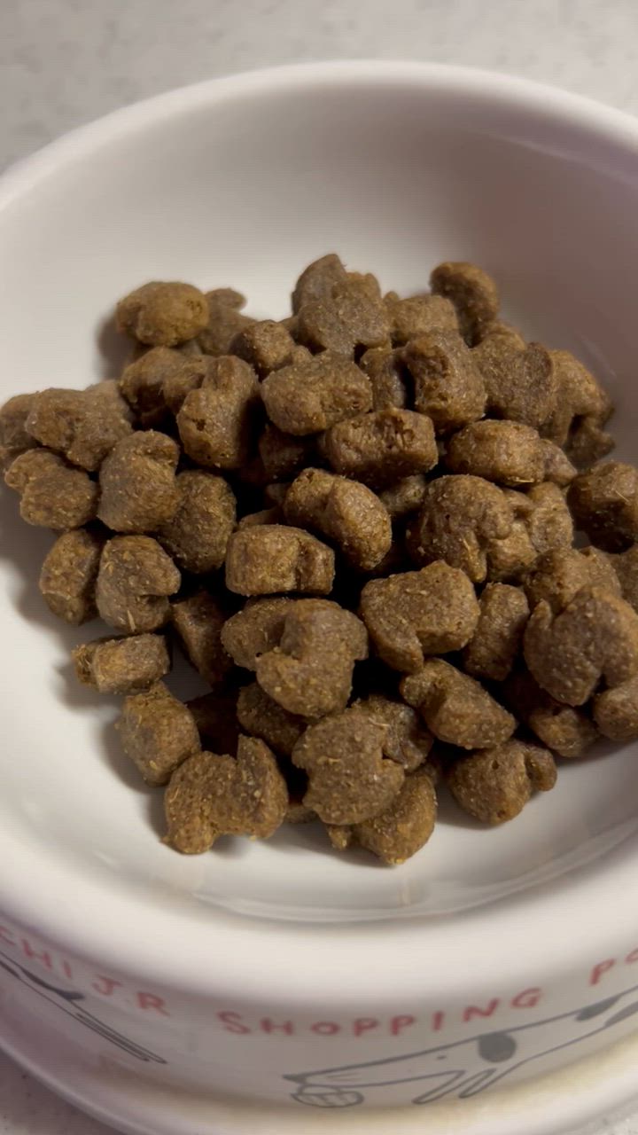 ユーカヌバ成犬用(１歳以上)　全犬種用　ラム　ドライフード7.5kg ユーカヌバ [ユーカヌバ]Eukanuba スモール アダルト 7.5kg