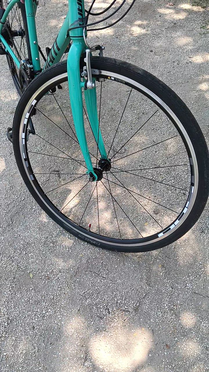 シマノ WH-R501 フロントホイール クリンチャー SHIMANO