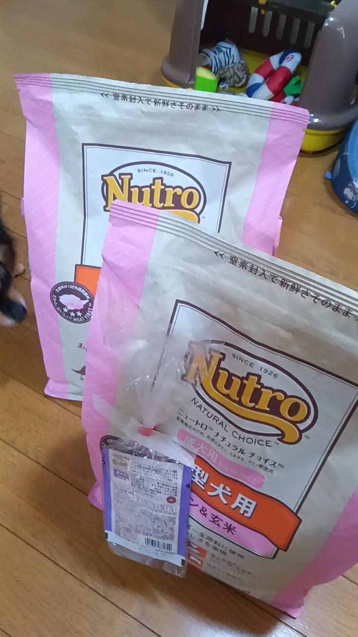 全体のレビュー動画のサムネイル | 8