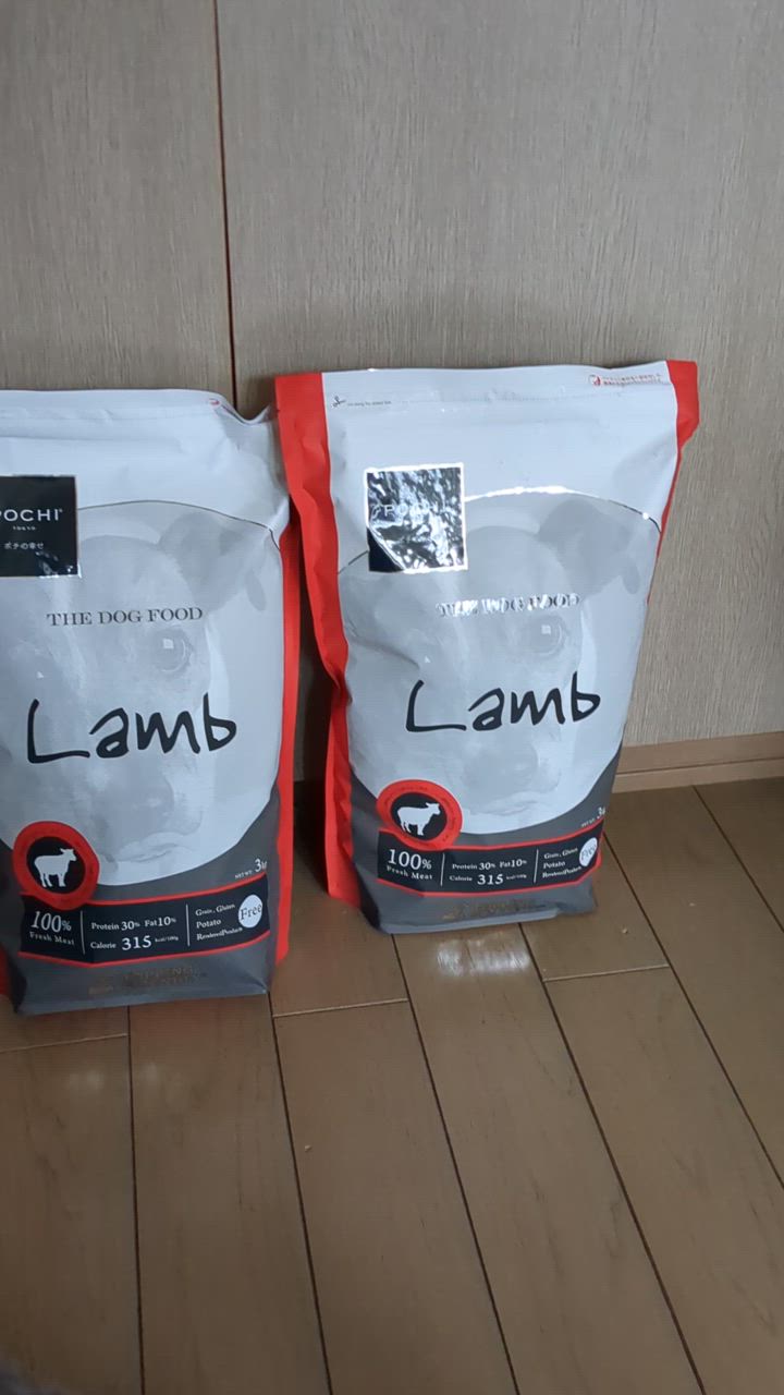 全体のレビュー動画のサムネイル | 1