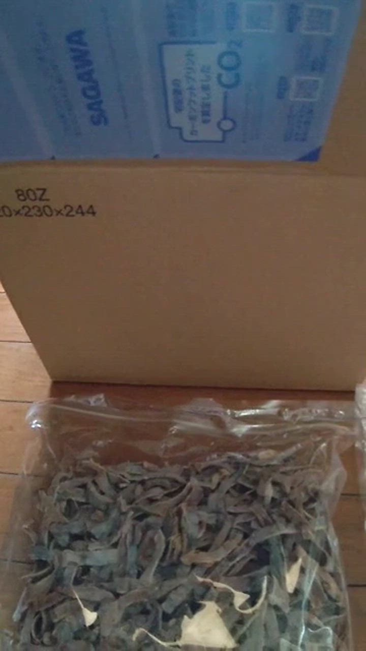 全体のレビュー動画のサムネイル | 7