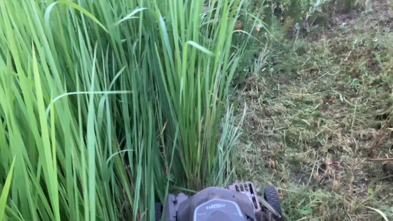 全体のレビュー動画のサムネイル | 0