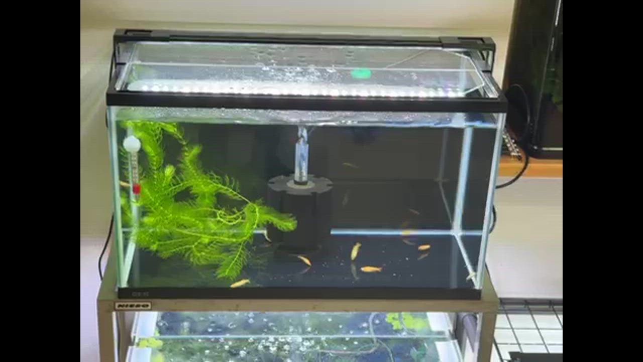 マリーナ水槽60cm　8点セット GEX マリーナ幅60cm水槽SLIM MR600BKS-N : 熱帯魚通販のネオス