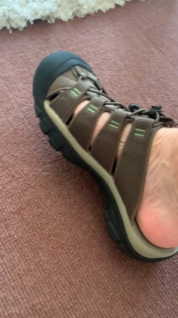 KEEN 27cmスポーツサンダル ブラウン KEEN 8/15 キーン スポーツサンダル メンズ ニューポート
