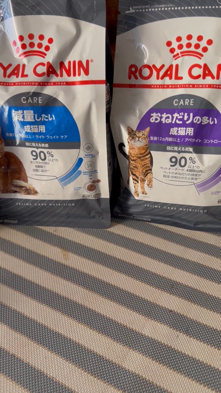 全体のレビュー動画のサムネイル | 0