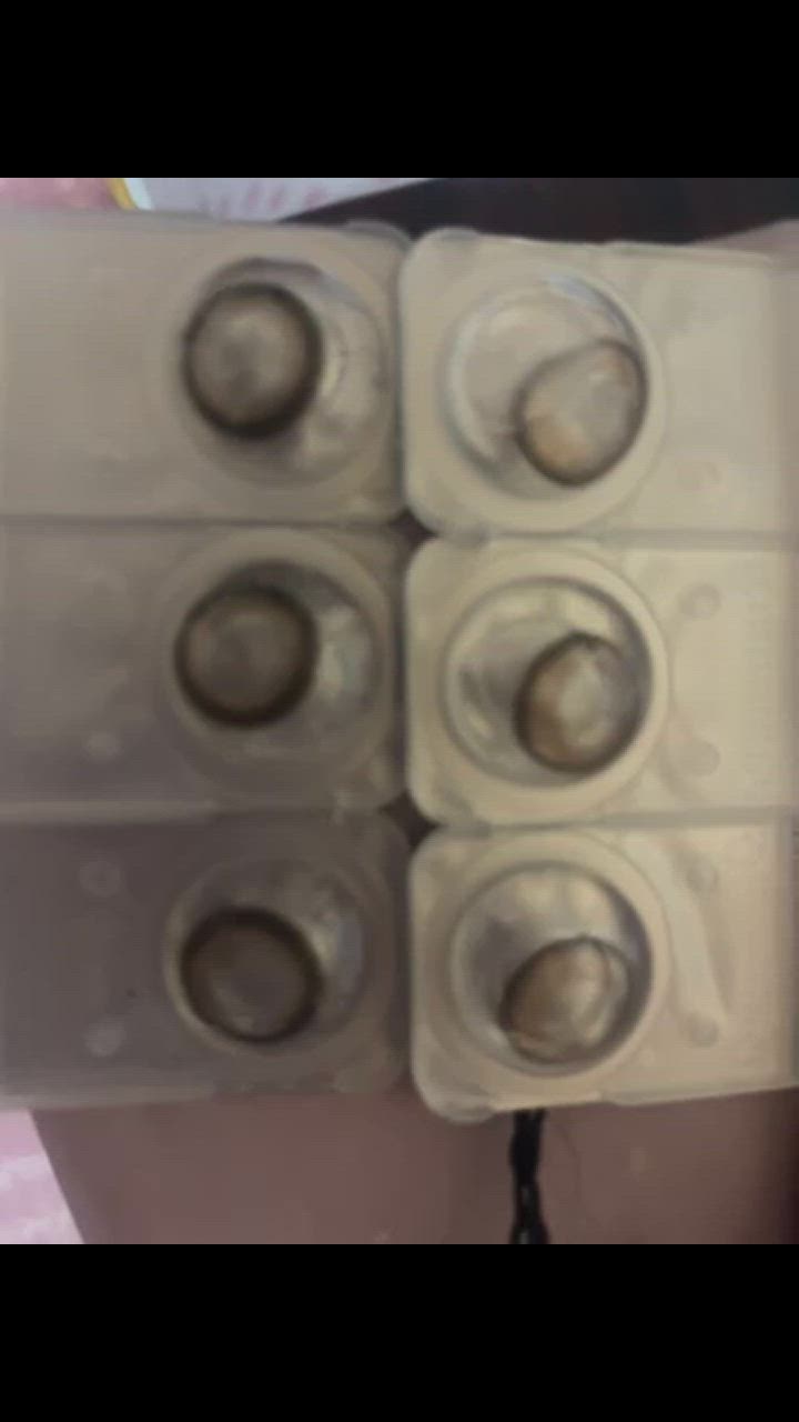 10件目のレビュー動画のサムネイル | 0