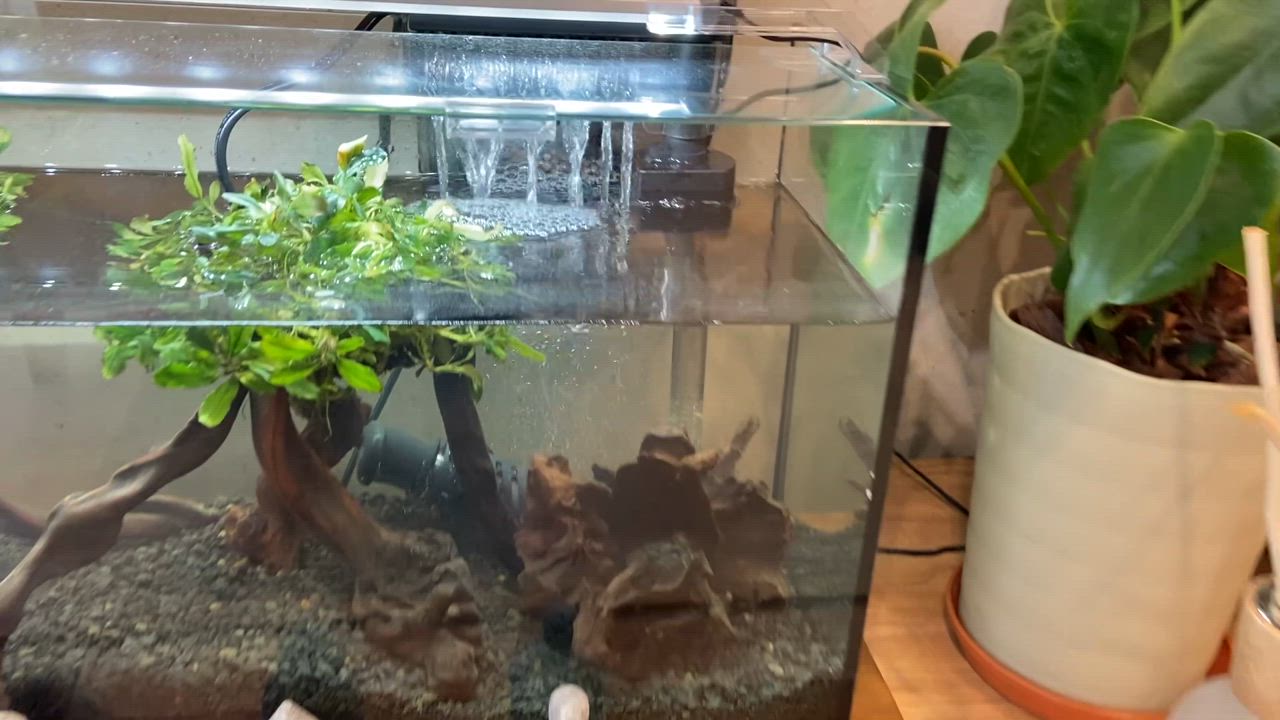 Tetra テトラ 水槽セット オールグラスアクアリウム600