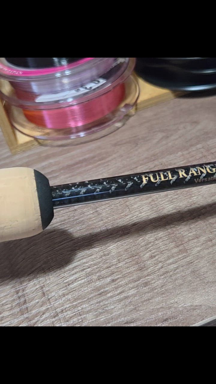 ブラックスター エクストラチューンド S69ULX-S フルレンジ