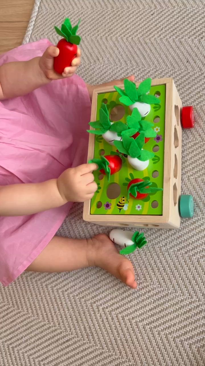 全体のレビュー動画のサムネイル | 0